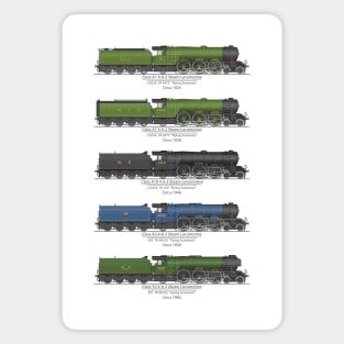 Flying Scotsman 1925-1962 Magnet